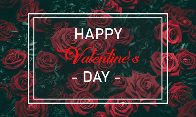 Happy Valentines Day Wishing Card and Banner With Red Rosses in background 
