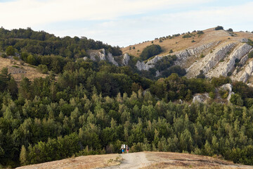 road with tourists going into the mountains with a forest