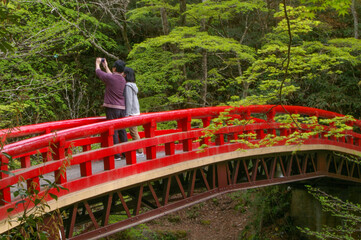 赤い橋の上で写真を撮るカップル