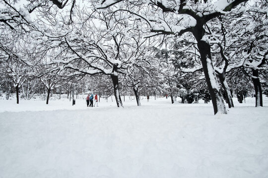 People Walking Through The Snow In The City Center Of Madrid After A Historic Snowfall Due To Filomena Storm