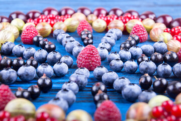 Ornament of assorted fruits and berries: gooseberries, raspberry, red and black currant, blueberry,...