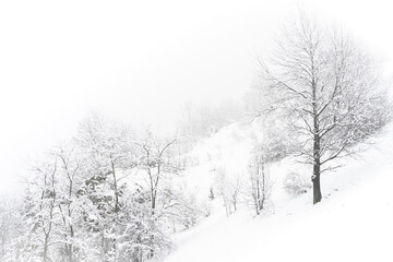 Mountain winter snow landscape trees trees and bushed on the hill in the fog. White picture with copy space. High quality photo
