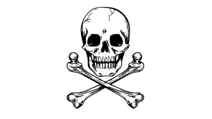 human skull and bones 