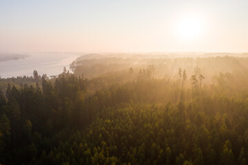 Nebel Schweden Wald