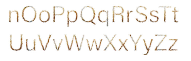 Letters made of red cat hair isolated on white. Part of the light brown font of the English alphabet. Letters N, O, P, Q, R, S, T, U, V, W, X, Y, Z.