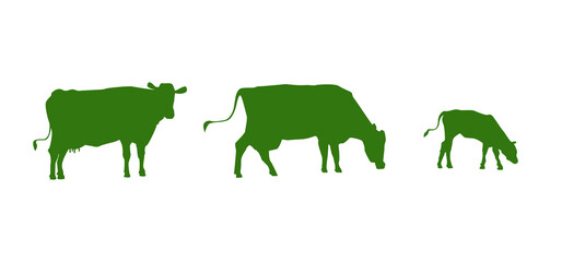 Silhouettes of cows on a white background. Vector illustration