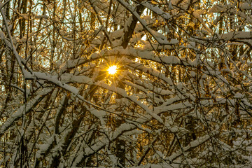 Winter Landschaft