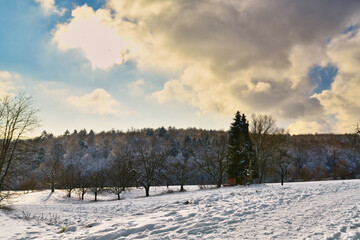 Snow covered winter landscape in German Odenwald forest with golden backlight sunlight