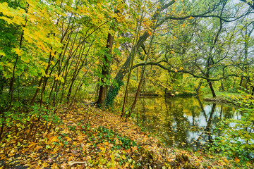 Herbst Panorama mit gefärbtem Laub bunten Bäumen und Spieglungen im Wasser eines kleinen Sees