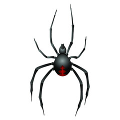 Black widow spider on white background. Vector illustration