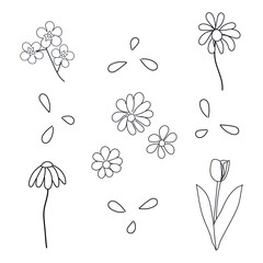 isolated vector flowers on a white background