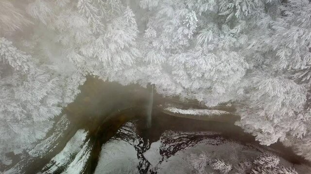 Drone for&ecirc;t enneig&eacute; cascade