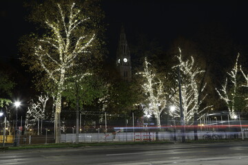 The city of Vienna at night during christmas time