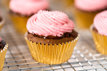 Chocolate raspberry cupcakes