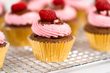 Chocolate raspberry cupcakes