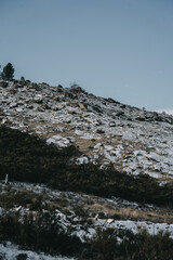 Fototapeta na wymiar mountain stream in winter