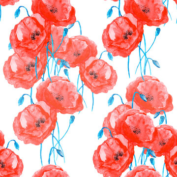 Meadow flowers poppy painted in watercolor. Seamless pattern on white background. Illustration for decoration.