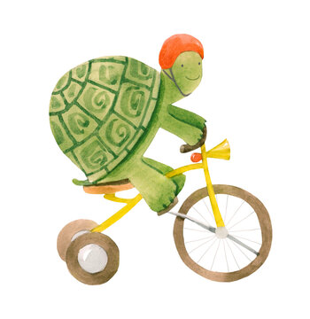 Beautiful stock illustration with cute watercolor baby turtle on bike. Animal with bicycle hand drawn painting.