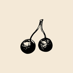 Vector hand sketch cherries. Retro illustration.