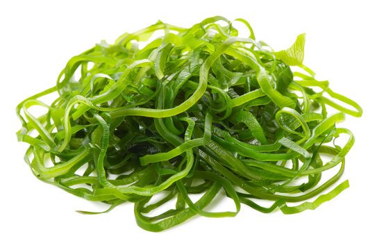 gracilaria ogonori seaweed salad isolated on white background, traditional Japanese food