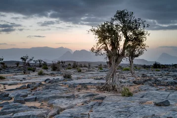 Fotobehang Landscape Jabal Shams, Oman © AGAMI
