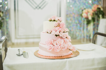 Obraz na płótnie Canvas beautiful wedding cake bride and groom cut into pieces