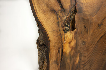 Wood texture, live edge with bark