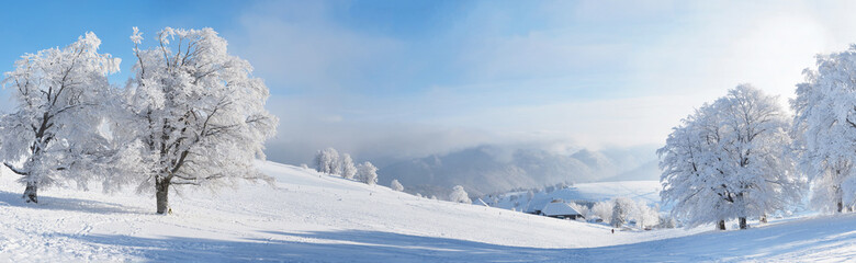 Fototapeta na wymiar Schwarzwald im Winter - Winterlandschaft mit Schnee und Sonne Panorama