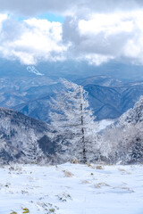 Fototapeta na wymiar 【冬山イメージ】厳冬期の雪原