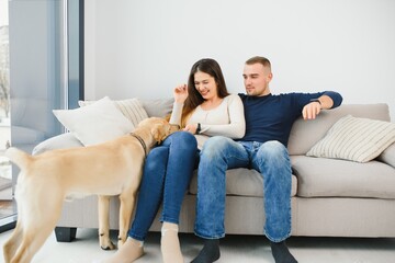 Cheerful married couple is playing with dog at home. They are sitting on sofa and stroking the animal. The man and woman are smiling