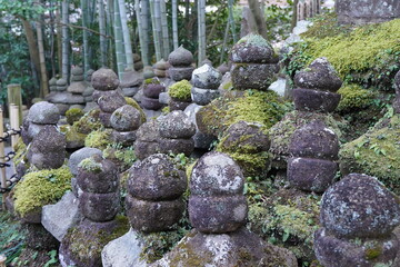 Hokokuji Temple at Kamakura, Kanagawa, Japan. Hokokuji Temple is popular of its Bamboo grove.