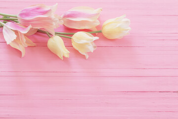Fototapeta premium pink and yellow tulips on painted wooden background