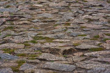 Pavement lined with paving stones. Green grass breaks between the cover stones