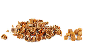 Pile of hazelnut husks and kernels