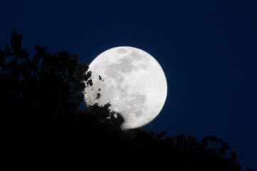 Fototapeta na wymiar Moon over Akamas, Cyprus