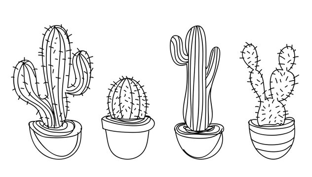 cactus line drawing set , Illustration hand drawn style , vector design.