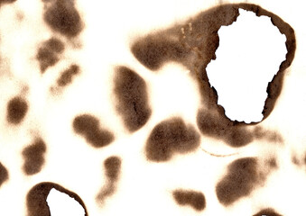 Abstract burned paper edges background