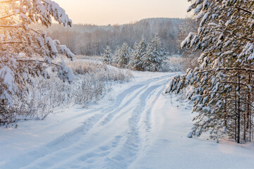 Winter, lonely, impassable snow-covered road leading into the forest. Winter landscape, sun rays, snow-covered trees. Horizontal photo.