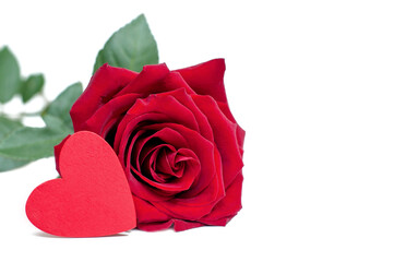Red rose and red heart on white background