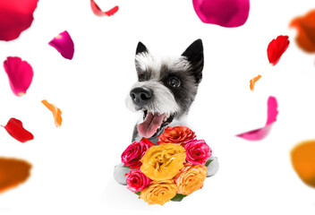 Fototapeta na wymiar valentines mothers and fathers day dog