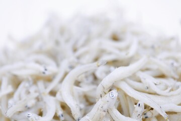 瀬戸内海産釜揚げしらす