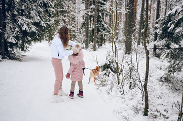 Happy family young mother and little cute girl in pink warm outwear walking having fun with red shiba inu dog in snowy white cold winter forest outdoors. Family sport vacation activities.