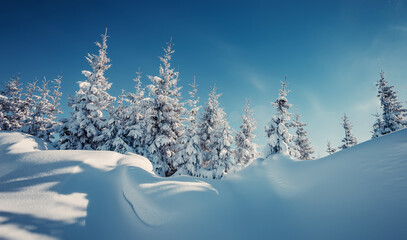 Fototapeta na wymiar Wonderful Winter Landscape. Awesome Alpine Highlands in Sunny Day. Christmas holyday concept. Winter mountain forest. Snowy mountains and perfect blue sky. Amazing Nature background. postcard