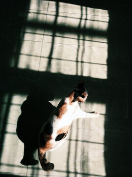 Processed with VSCO with j4 preset