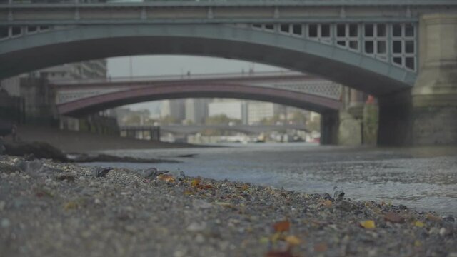 Pigeons eating seeds at the Thames river under London bridges