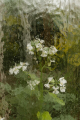 Kwiaty za szybą szklarni © Ianu Arius