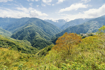 Fototapeta na wymiar Travel in Taiwan