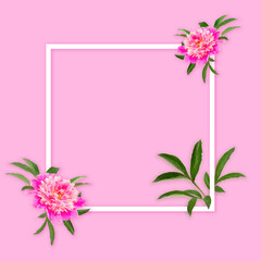 Frame with flowers on a pink background