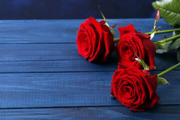 Composition of red roses on a blue wooden background, Valentine's Day. Space for text.