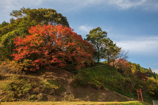 131 Best 秋の背景 Images Stock Photos Vectors Adobe Stock